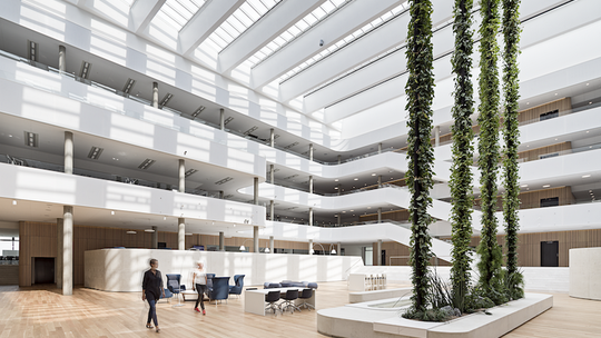 Zdrowie jest najważniejsze, czyli o wpływie naturalnego światła na naszą pracę