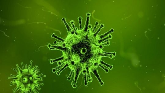 Zdrowotny Monitoring Polaków: trzy razy więcej przeziębień i COVID-19 wśród dzieci