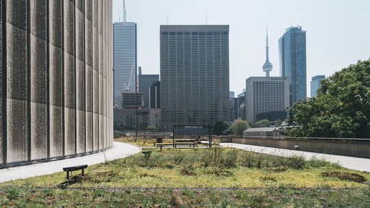 Zielone technologie – nadzieja dla środowiska i szansa dla biznesu