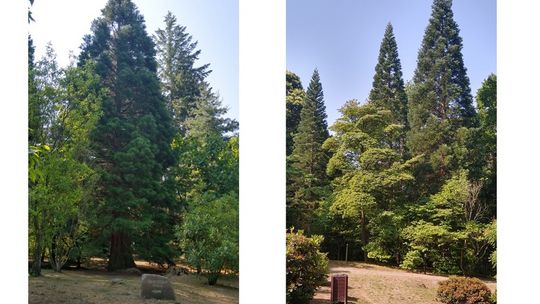 Zmiana pokoleniowa w Glinnej