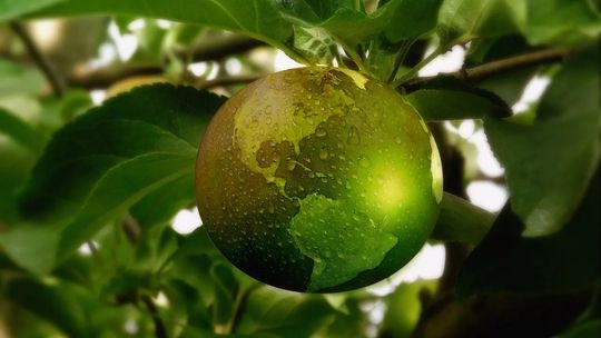 Zrównoważony rozwój w produkcji towarów luksusowych – czy jest możliwy?