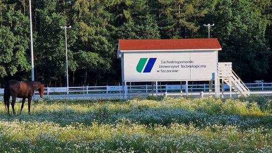 ZUT zaprasza na Dzień Dziecka w Stajni