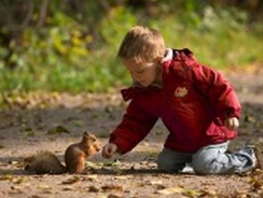 260 przedszkoli w województwie zachodniopomorskim uczy dzieci jak dbać o naturę 