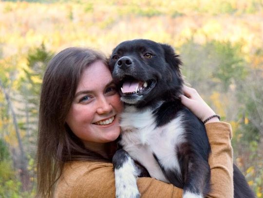 „Adoptuj z miłością” – wspólna akcja Maxi Zoo i schronisk trwa.