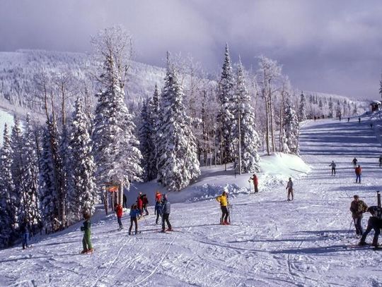 Alkohol na stoku? Polacy są coraz bardziej krytyczni, ale wypadki pokazują, że problem wciąż istnieje
