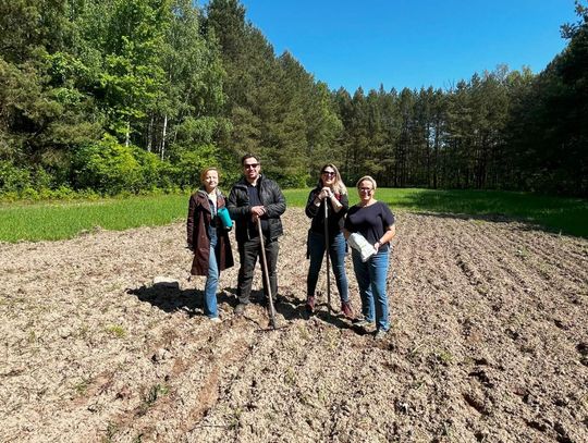 B&B HOTELS Polska kontynuuje działania na rzecz pszczół
