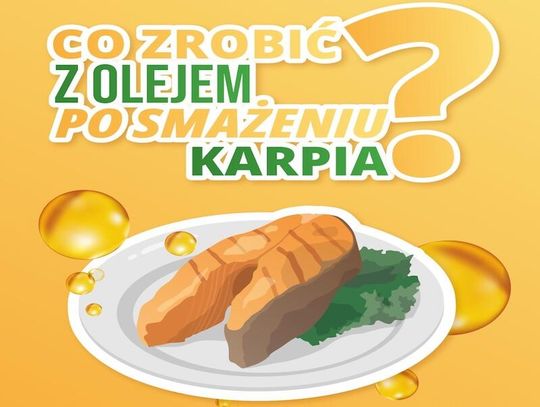 Co zrobić z olejem po smażeniu karpia? Nie wylewaj go do zlewu! Co zrobić z olejem po smażeniu karpia? Nie wylewaj go do zlewu!