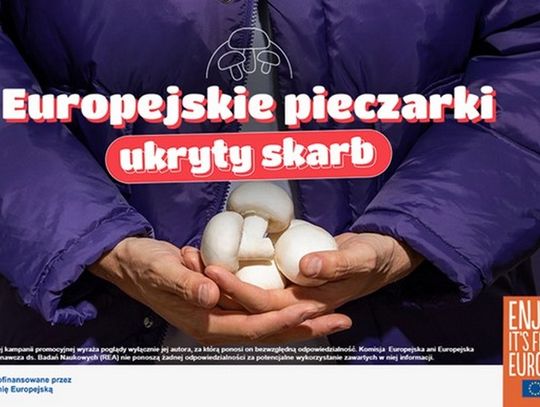 Dlaczego Polacy oszaleli na punkcie pieczarek? Zobacz, co możesz zyskać