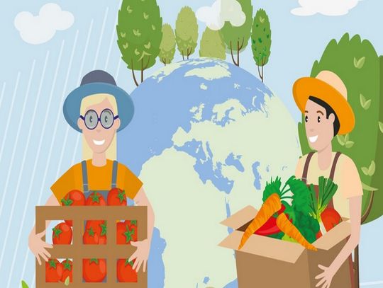 Dwóch na trzech Polaków przyznaje się do marnowania jedzenia - raport Banków Żywności