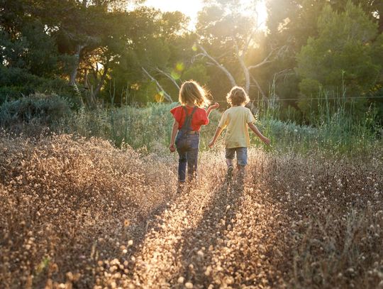 Dzień Długu Ekologicznego – od 24 lipca do końca roku świat żyje „na kredyt”