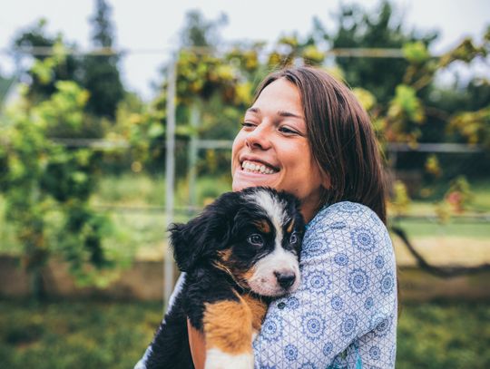 Dzień Kundelka – podaruj dom, zyskaj miłość