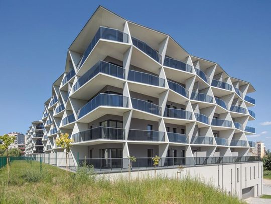 Fasada Roku 2025: zgłoszenia zakończone, trwa ostatni miesiąc głosowania internautów