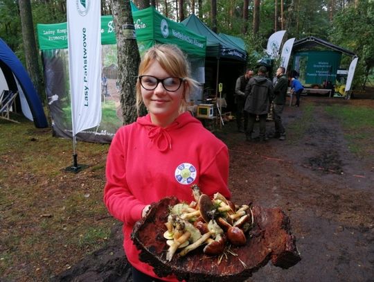 Grzybobranie i maraton  w Kliniskach