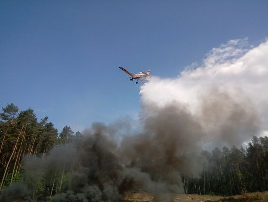 Informacja o zagrożeniu pożarowym w lasach 