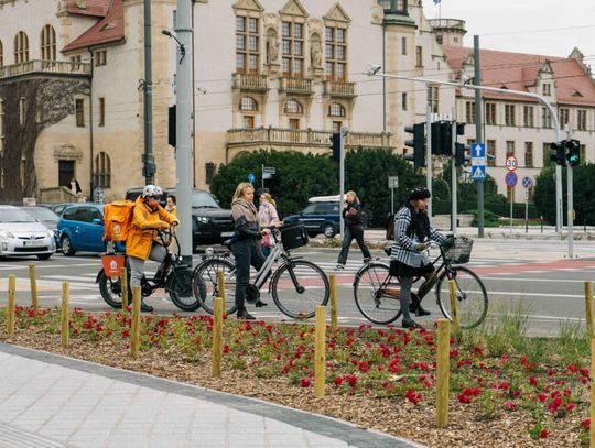 Jak miasta inwestują w zieloną komunikację? Przegląd rozwiązań