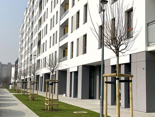 Jak oferta nowych mieszkań zmieniała się w ciągu ostatniego roku