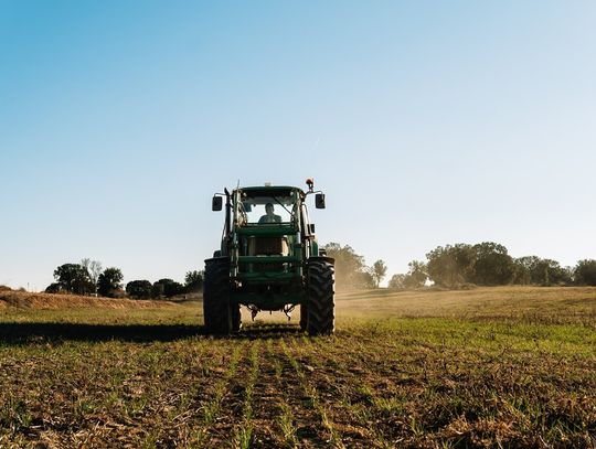 Kiedy i jak najlepiej wapnować pole? Praktyczny poradnik dla rolników