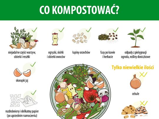 Kompostowanie bioodpadów – jak robić to prawidłowo?