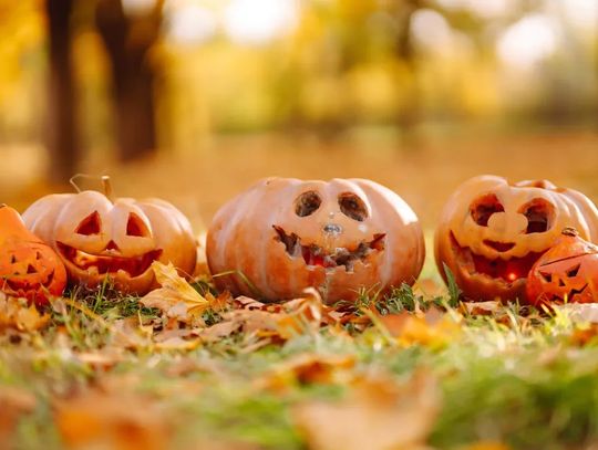 Kulinarne hity na Halloween: 3 przepisy na magiczne potrawy z dynią w roli głównej