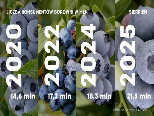 Lato z borówkami - kolejny rekord konsumpcji