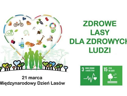 Międzynarodowy Dzień Lasów