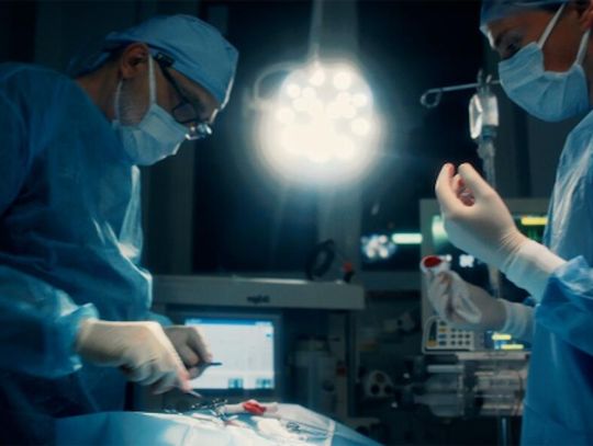 Niezastąpieni – wzruszający film o codziennej pracy lekarzy weterynarii