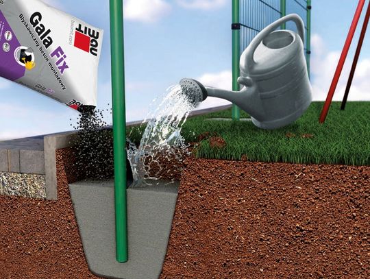 Nowe ogrodzenie, huśtawka, grill?