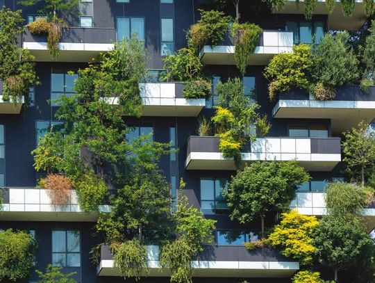 Nowe życie budynków – jakie okna i dlaczego warto wybrać do renowacji?