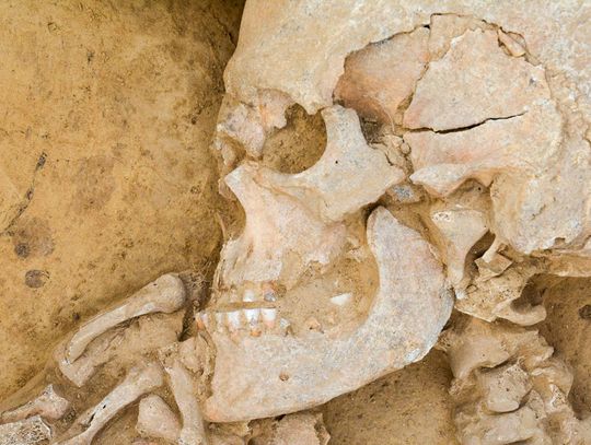 O tajemnicach archeologii w Kornicach i na Zamku Piastowskim