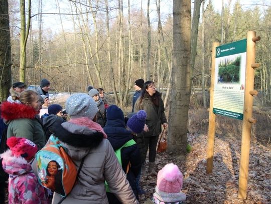 „Oko w oko z trocią” – ferie w lesie i ze ścieżką edukacyjną