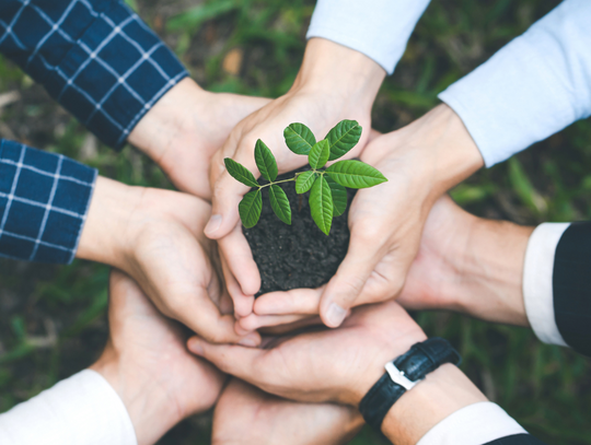 Oto powody, dlaczego warto chronić przyrodę