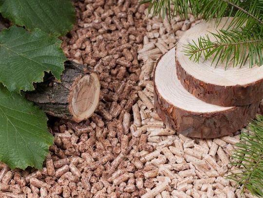 Pellet nadal bezpiecznym i stabilnym paliwem: sezonowe wahania nie zmieniają jego roli na rynku