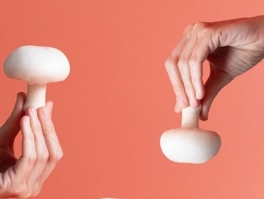 Pieczarka 2030: ekologiczna, lokalna, niezwykła