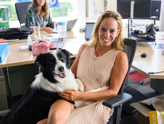 Pies w pracy - jak czworonożny przyjaciel wpływa na nasze samopoczucie?