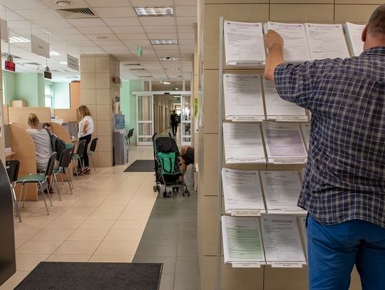 Polacy chętniej niż rok temu zakładają jednoosobowe firmy, ale szału nie widać. Statystyki „ratują” Ukraińcy