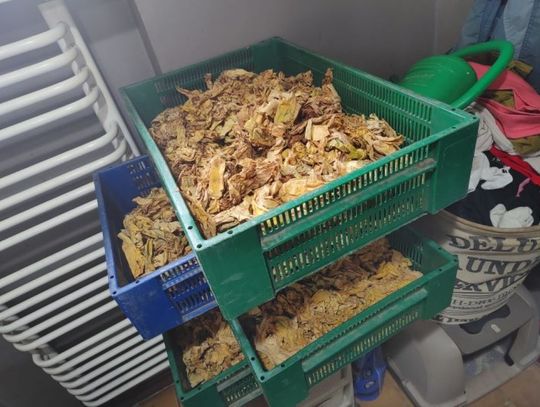 Ponad 21 kg nielegalnego tytoniu zatrzymała KAS w Zachodniopomorskiem