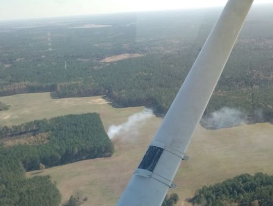 Pożary w lesie:  Leśnicy latają samolotami  