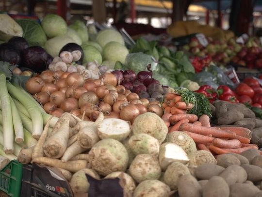 Produkcja żywności w Polsce zmaga się z wysokimi kosztami. Branża oczekuje szybkich działań rządu [DEPESZA]