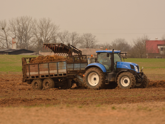 Przygotowanie sianokiszonki