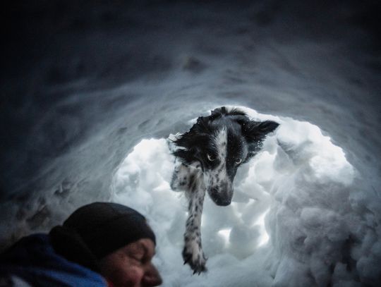 „Przyjaźń Łączy – Wspólnie dla Zwierząt” – klienci Maxi Zoo wspierają psich ratowników GOPR i zwierzęcych terapeutów ze Stowarzyszenia Zwierzęta Ludziom