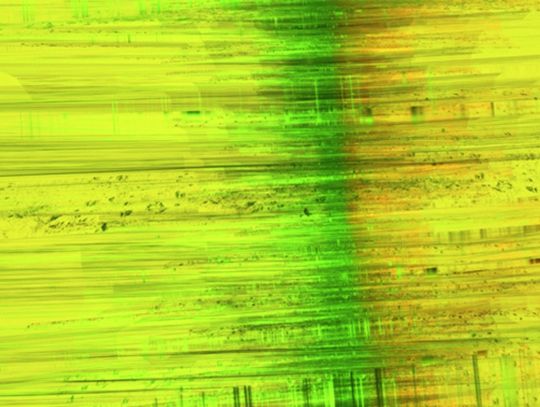 ROMAN LIPSKI. QUANTUM BABYLON