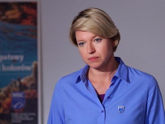 Śledź jest najchętniej wybieraną rybą przez Polaków. Może jednak zniknąć z naszych stołów w wyniku przełowienia stad