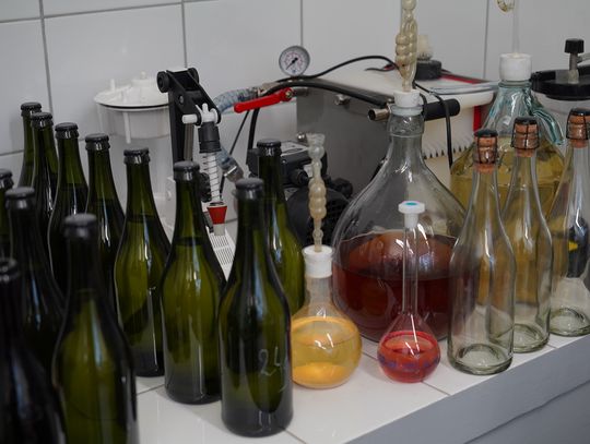 Studenci ZUT uczą się jak produkować wino musujące