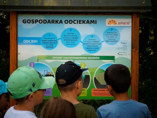 Światowy Dzień Edukacji Ekologicznej. To wiedza, która przekłada się na codzienne decyzje