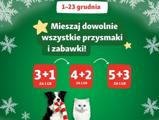 Święta w branży pet care – jak zmieniają się zwyczaje zakupowe Polaków i co to znaczy dla rynku? Święta w branży pet care – jak zmieniają się zwyczaje zakupowe Polaków i co to znaczy dla rynku?