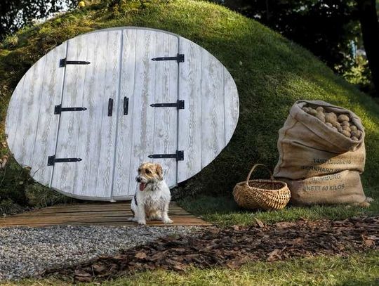 The Shire Cellar – piwniczka ogrodowa, która zachwyci najbardziej wymagających