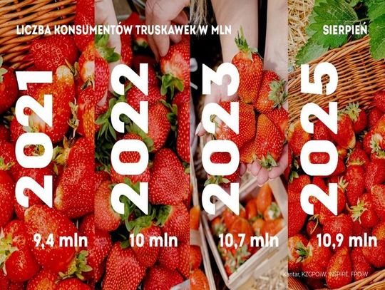 Truskawki - dłuższy sezon i rekordowe zainteresowanie