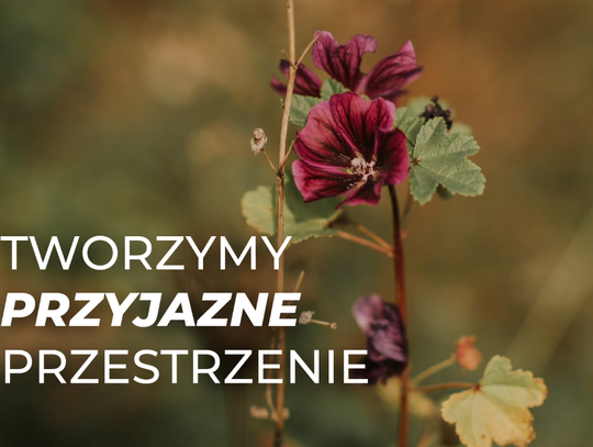 „Tworzymy przestrzenie przyjazne ludziom i środowisku” – ROBYG rozpoczął kampanię  w zrównoważonym duchu