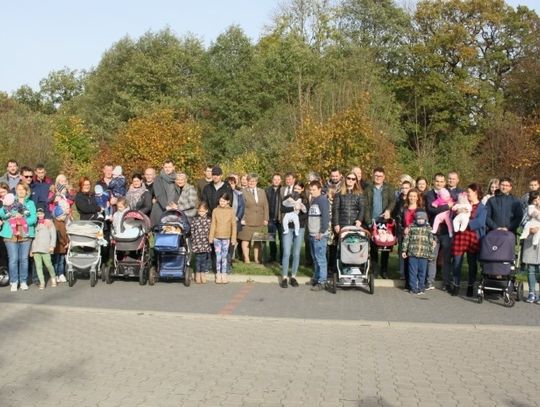 W Płotach posadzono 31 drzewek w ramach akcji „Jedno dziecko - jedno drzewo”