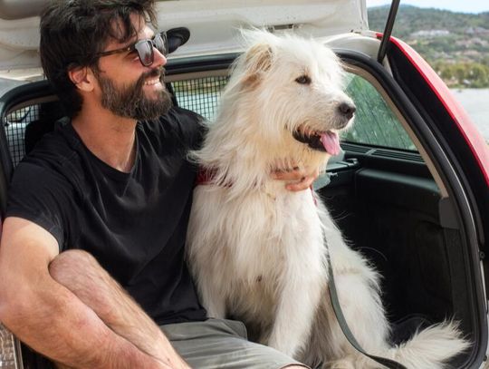 Wakacje z pupilem – jak przygotować się do podróży z psem lub kotem?